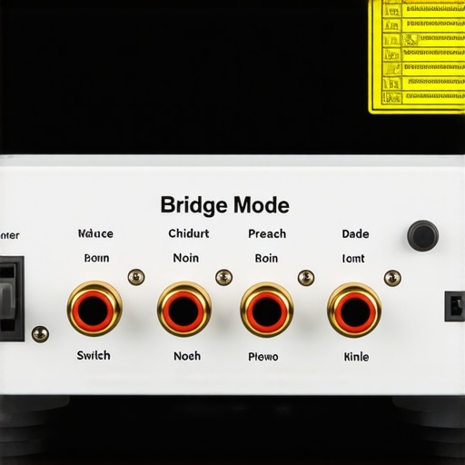 Close-up of a power amplifier rear panel showing the bridge mode switch and speaker cable connections.